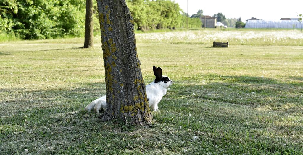 La Cascinetta * Pieve di Cento